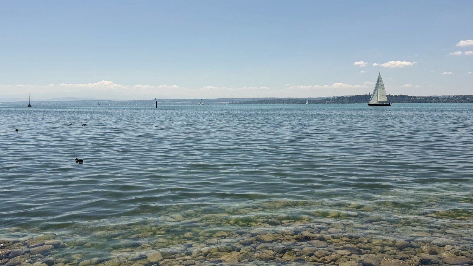 Bodensee mit Segelbooten